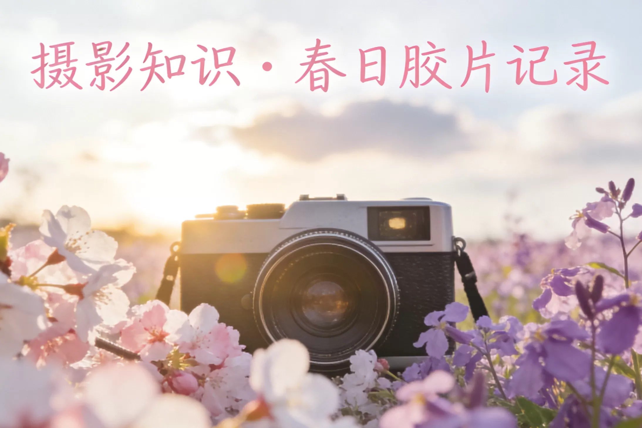 新手必看！春日户外摄影技巧+实操活动指南，轻松拍出氛围感大片