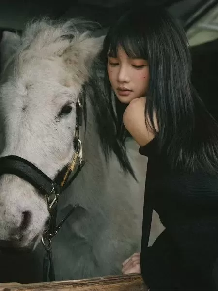 林妹妹