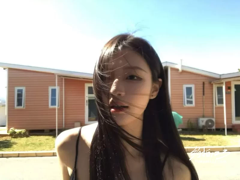 作品集